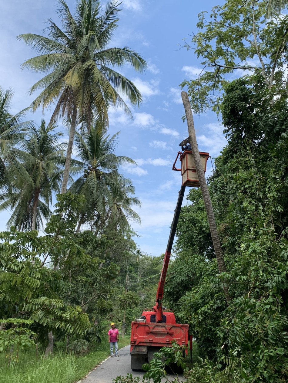 ตัดต้นไม้ หมู่ที่ 3 บ้านตะโละไกรทอง  ตำบลตะโละไกรทอง